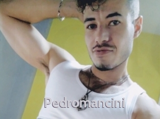 Pedromancini
