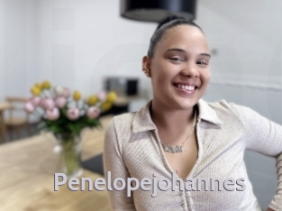 Penelopejohannes