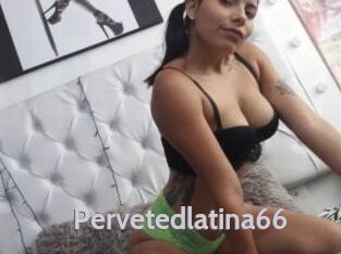 Pervetedlatina66