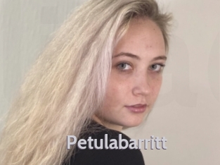Petulabarritt