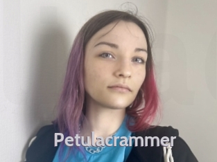 Petulacrammer