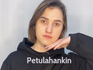 Petulahankin
