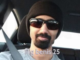 Pig_benis_25