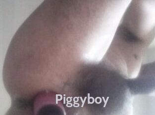 Piggyboy