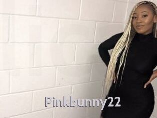 Pinkbunny22