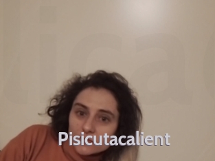 Pisicutacalient