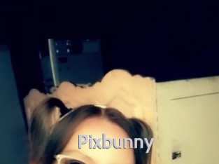 Pixbunny