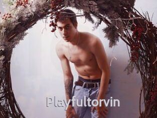 Playfultorvin