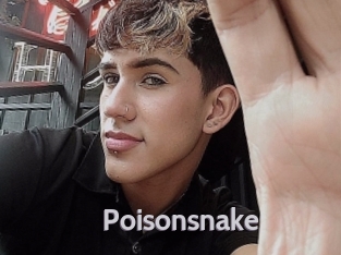 Poisonsnake