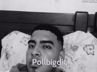 Pollbigdick