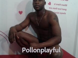 Pollonplayful