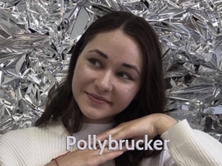 Pollybrucker