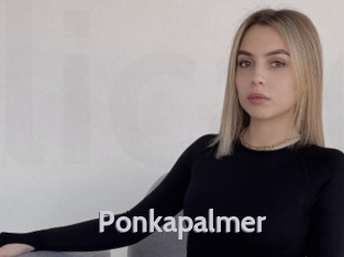 ponkapalmer Live Cam 66