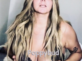 Poppybud