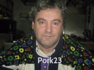 Pork23