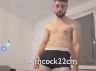 Porncock22cm