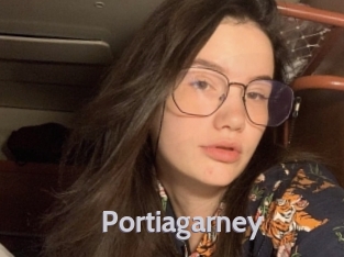 Portiagarney