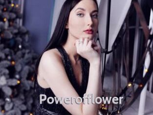 Powerofflower