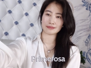 primerosa Live Cam 66