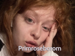 Primroseborom
