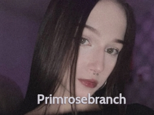 Primrosebranch