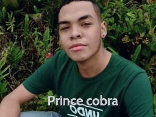 Prince_cobra
