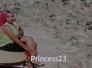 Princess23