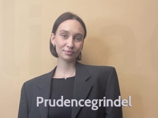 Prudencegrindel
