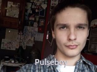 pulseboy Live Cam 66