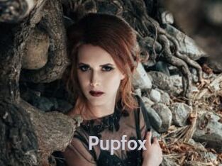 Pupfox