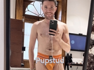 Pupstud