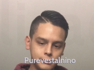 Purevestalnino