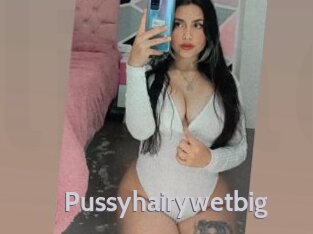 Pussyhairywetbig