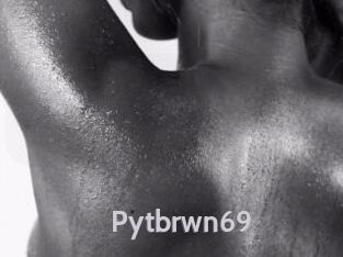 Pytbrwn69