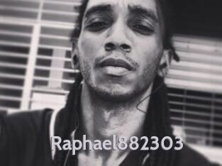 Raphael882303