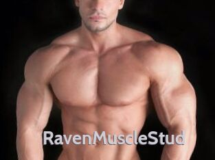 RavenMuscleStud