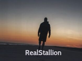 RealStallion