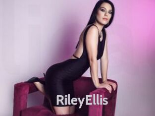 RileyEllis Live Cam 66