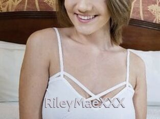 RileyMaeXXX Live Cam 66