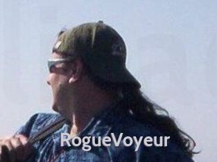 RogueVoyeur