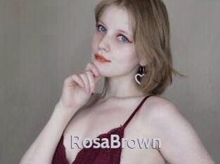 RosaBrown