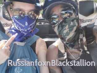 RussianfoxnBlackstallion