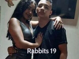 Rabbits_19