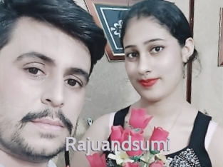 Rajuandsumi