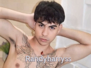 randyharryss Live Cam 66