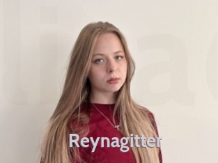 Reynagitter