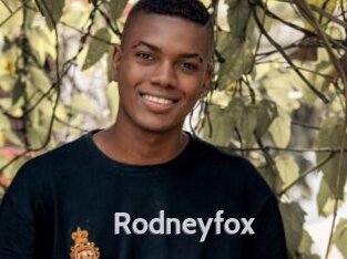 rodneyfox Live Cam 66