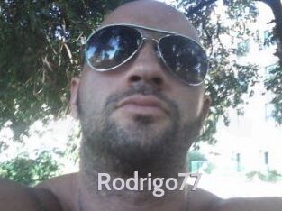 Rodrigo77