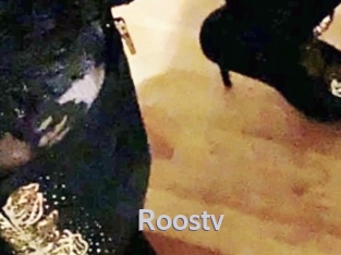roostv Live Cam 66