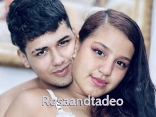 rosaandtadeo Live Cam 66